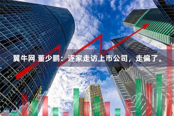翼牛网 董少鹏：逐家走访上市公司，走偏了。
