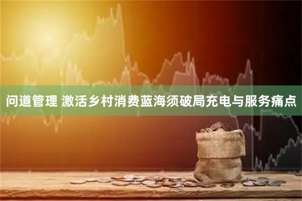 问道管理 激活乡村消费蓝海须破局充电与服务痛点