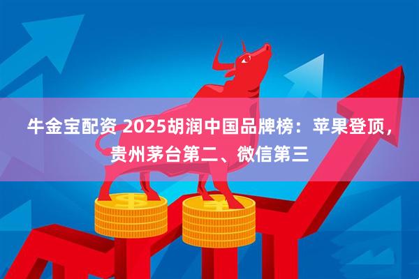 牛金宝配资 2025胡润中国品牌榜：苹果登顶，贵州茅台第二、微信第三